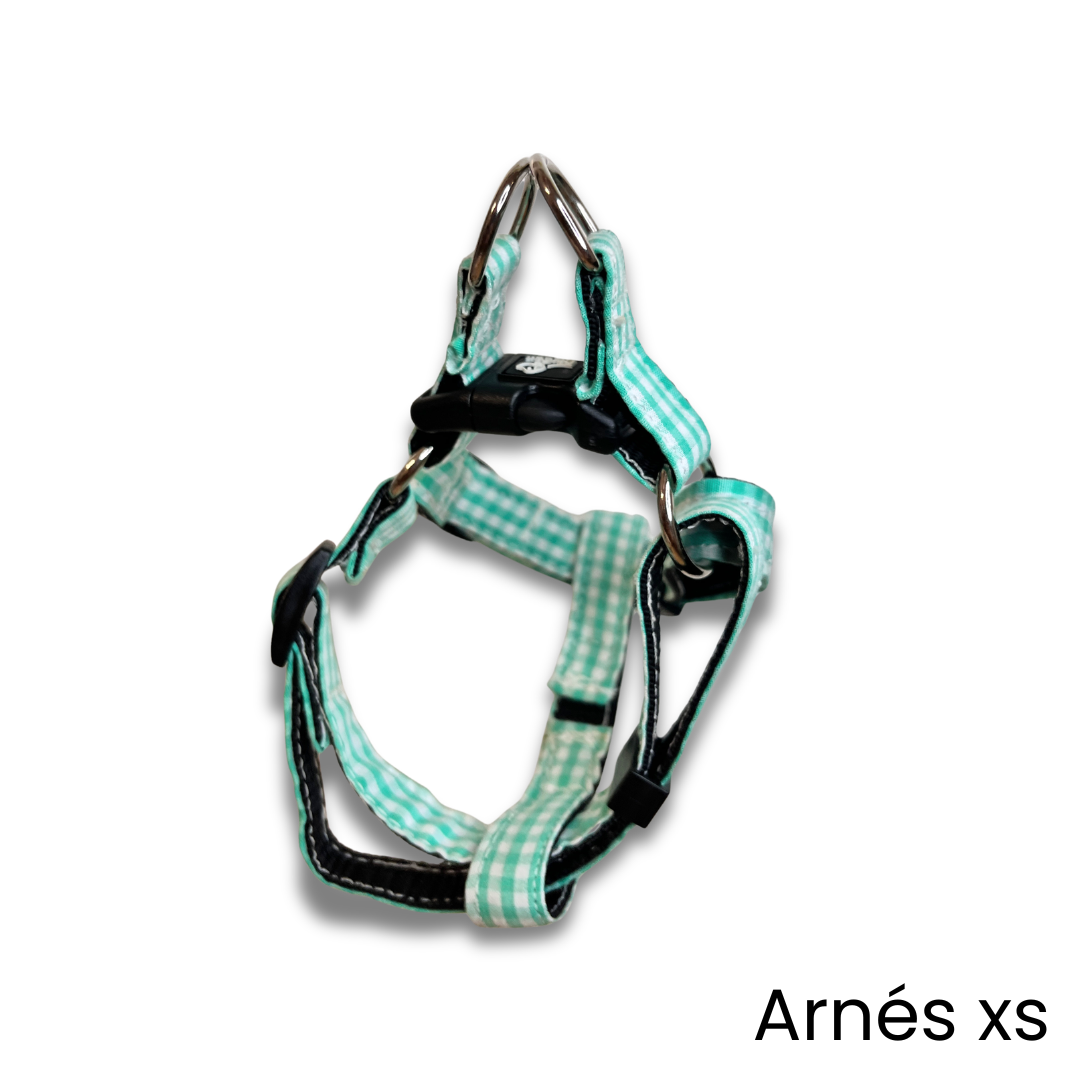 Arnés Vichy Verde