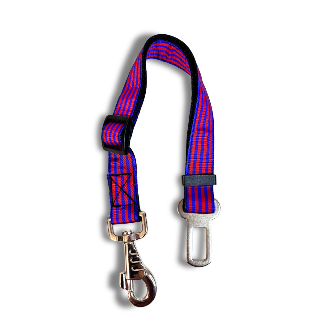 Cinturón Coche - Barsa