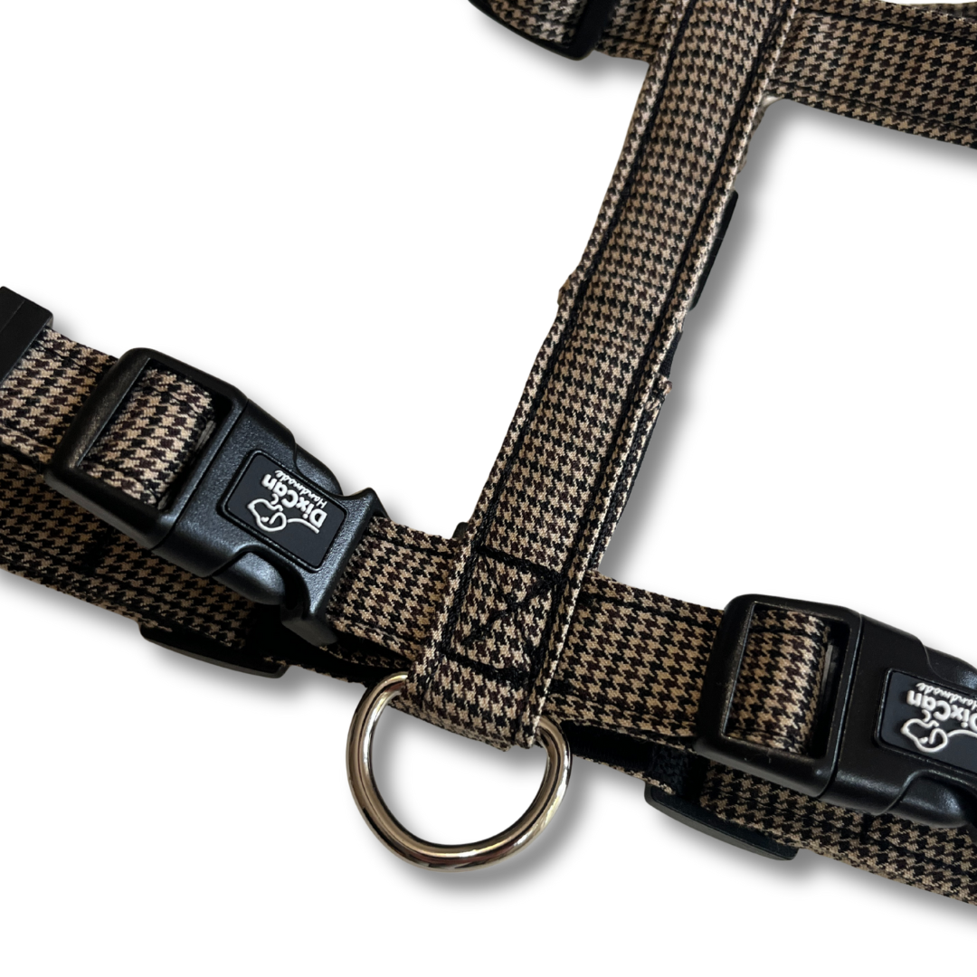 Geschirr - Looney Tunes