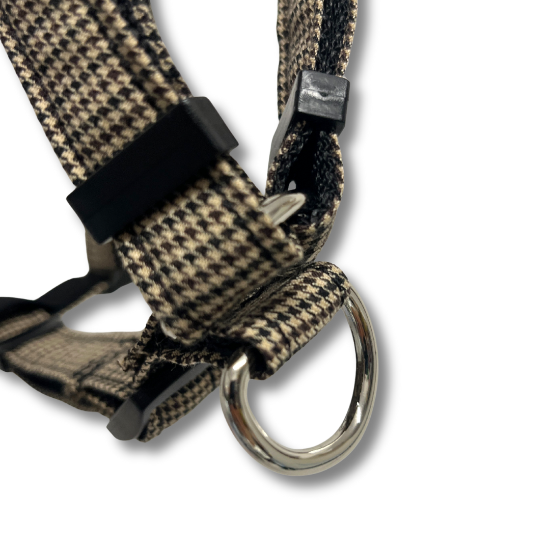 Geschirr - Looney Tunes