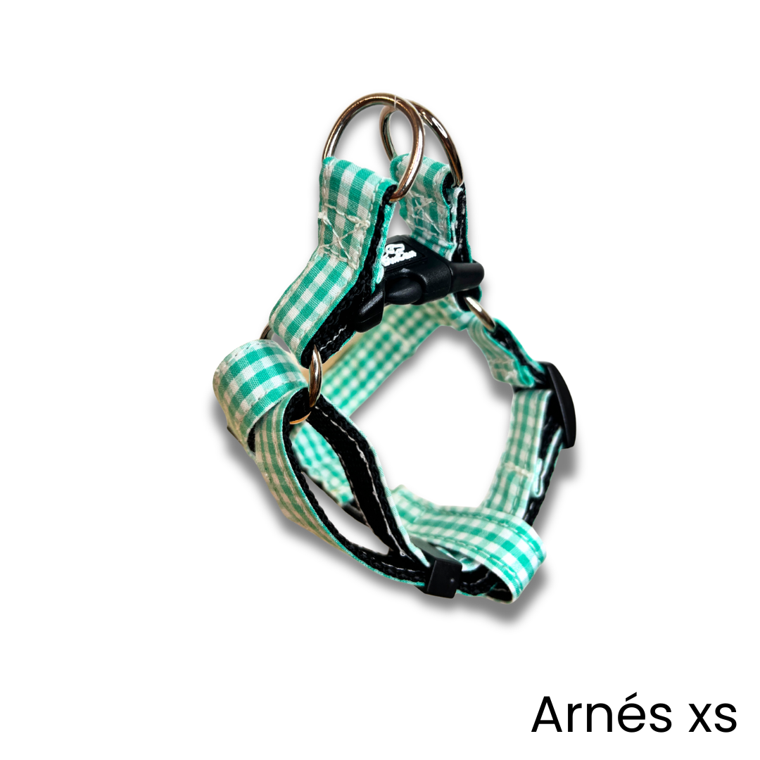 Arnés Vichy Verde