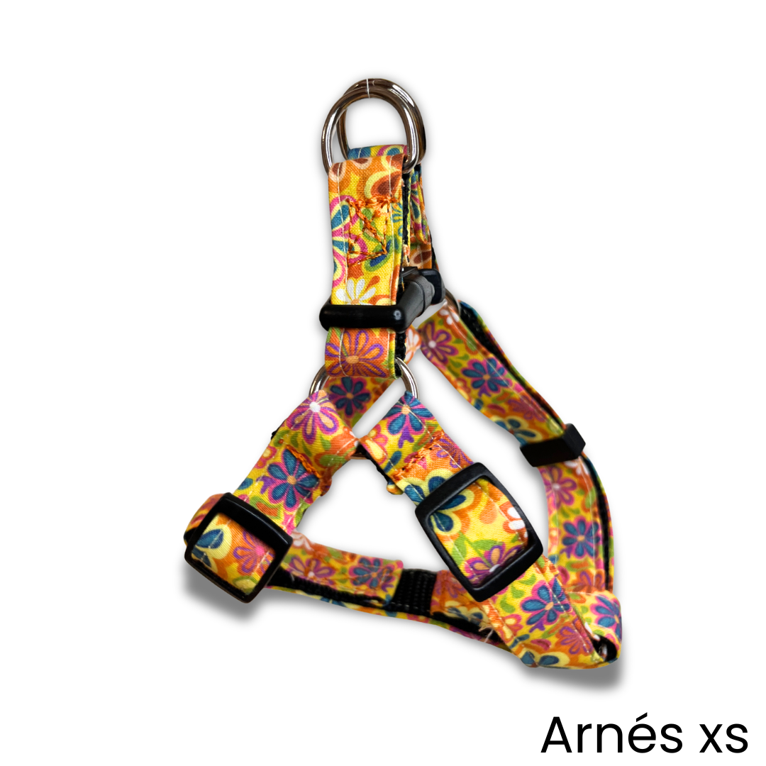 Arnés - Flowers