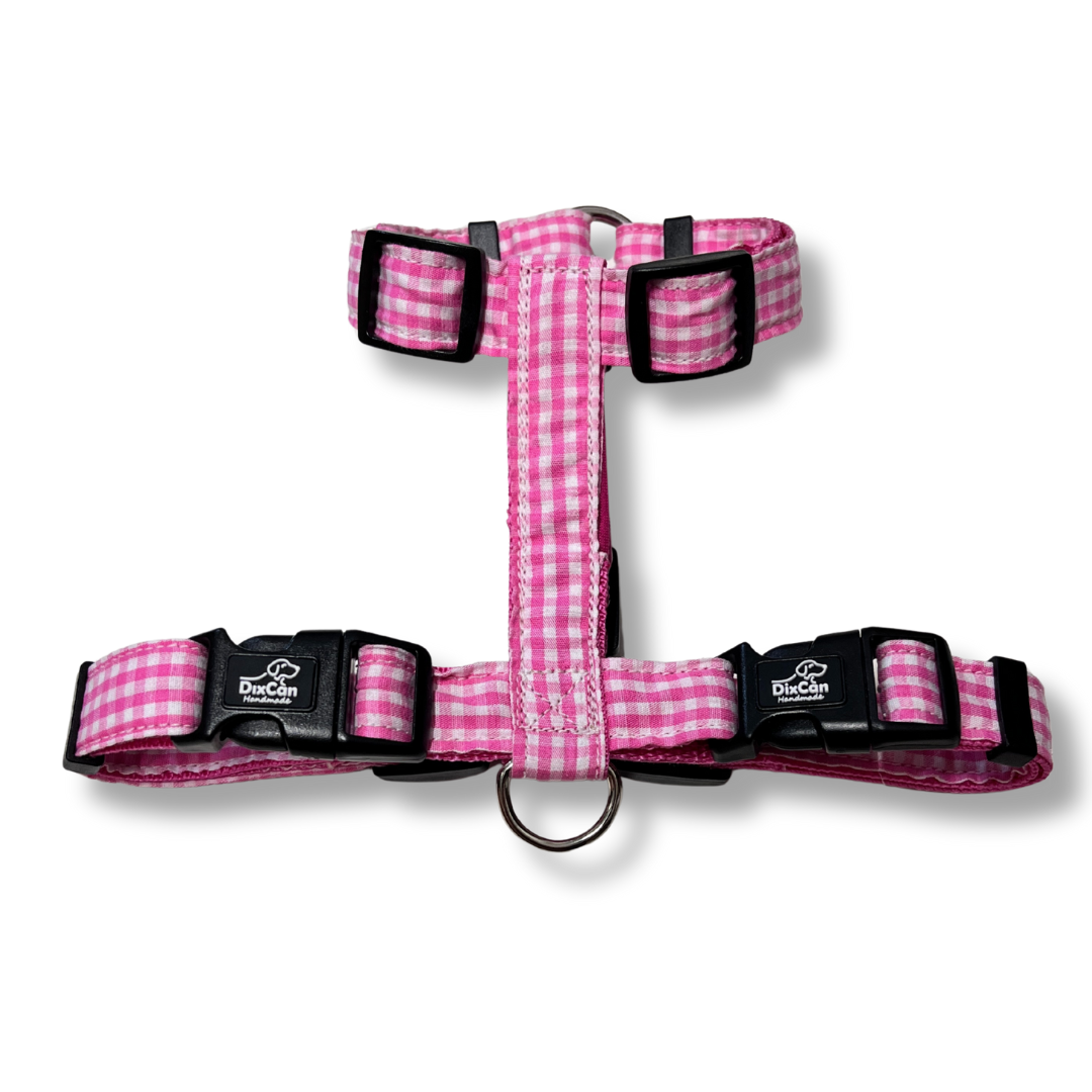 Geschirr - Looney Tunes