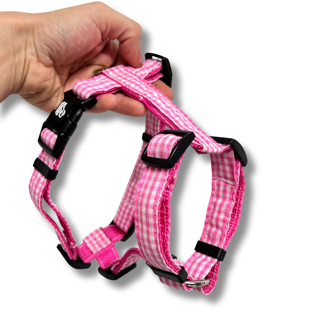 Geschirr - Looney Tunes