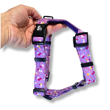 Geschirr - Looney Tunes