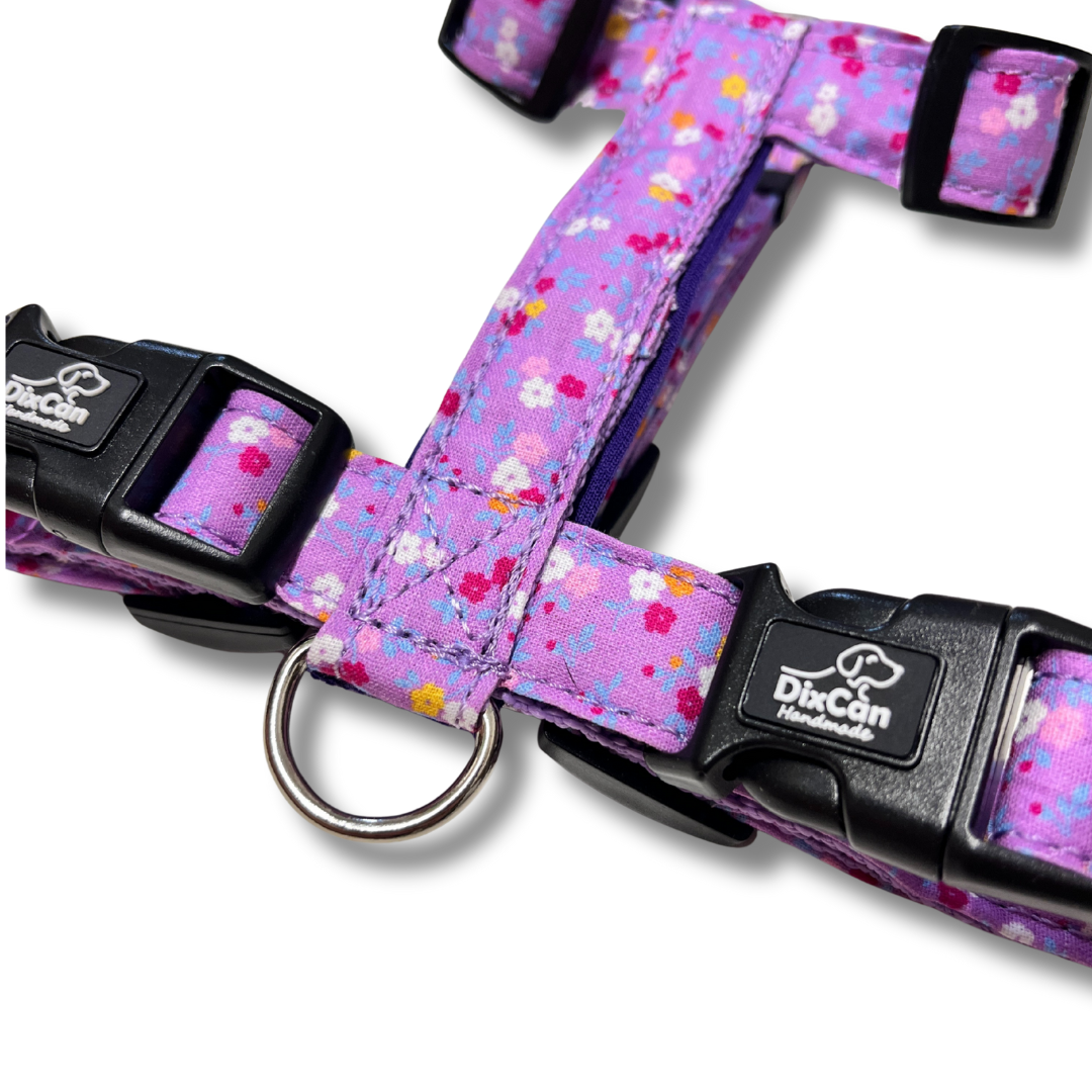 Geschirr - Looney Tunes