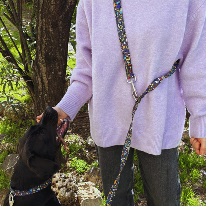 Multipositionsgurt - Looney Tunes