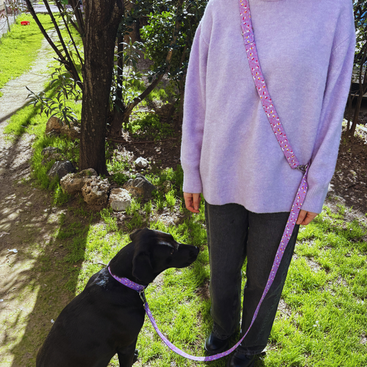 Multipositionsgurt - Looney Tunes