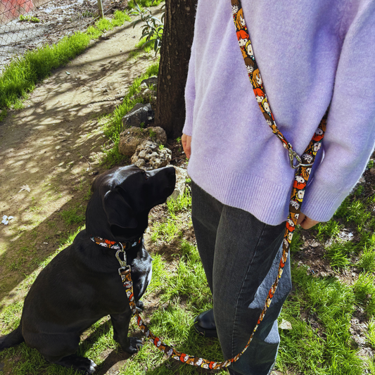 Multipositionsgurt - Looney Tunes