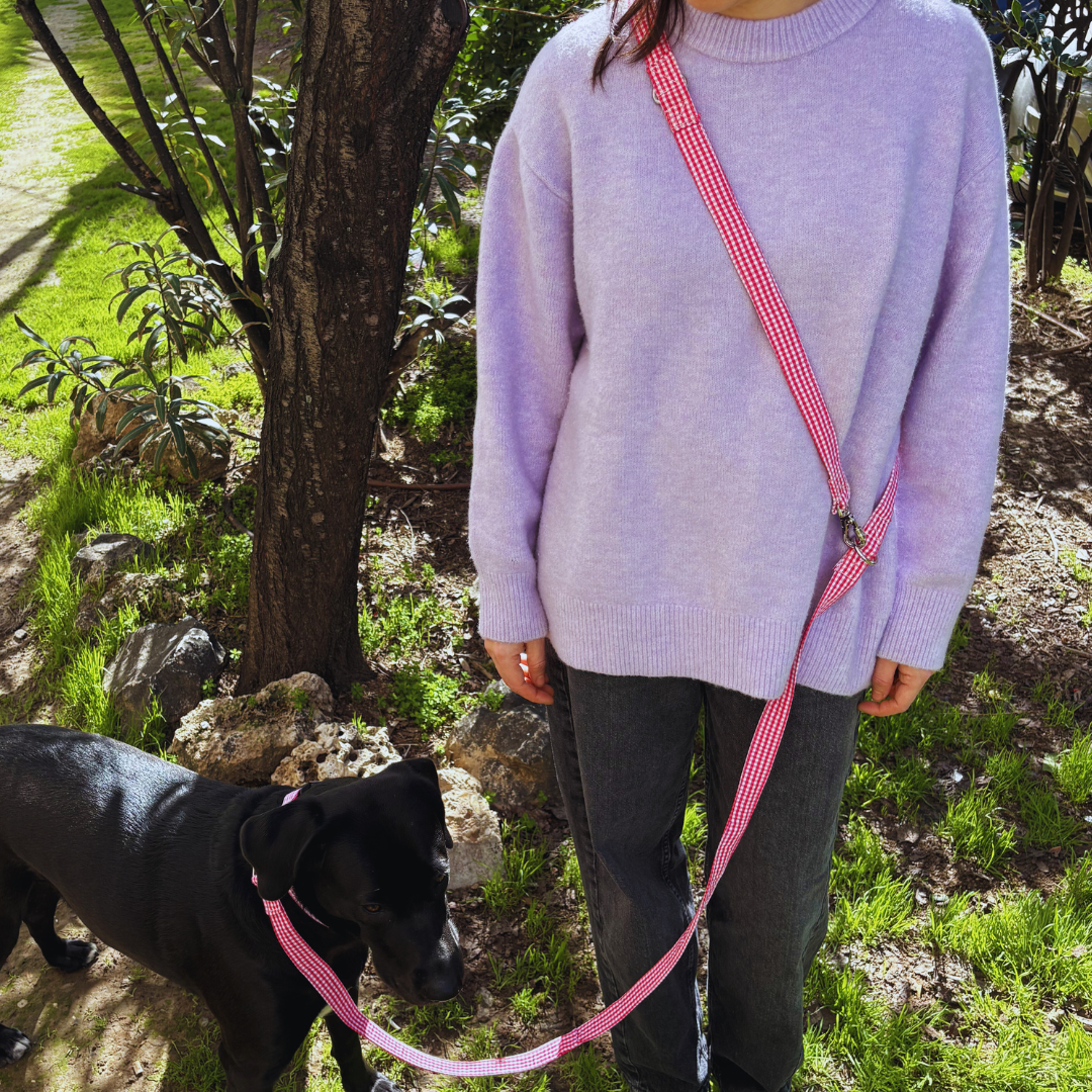 Multipositionsgurt - Looney Tunes