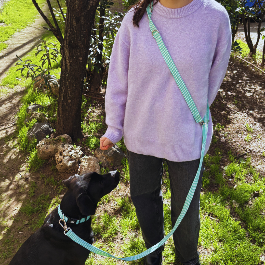 Multipositionsgurt - Looney Tunes