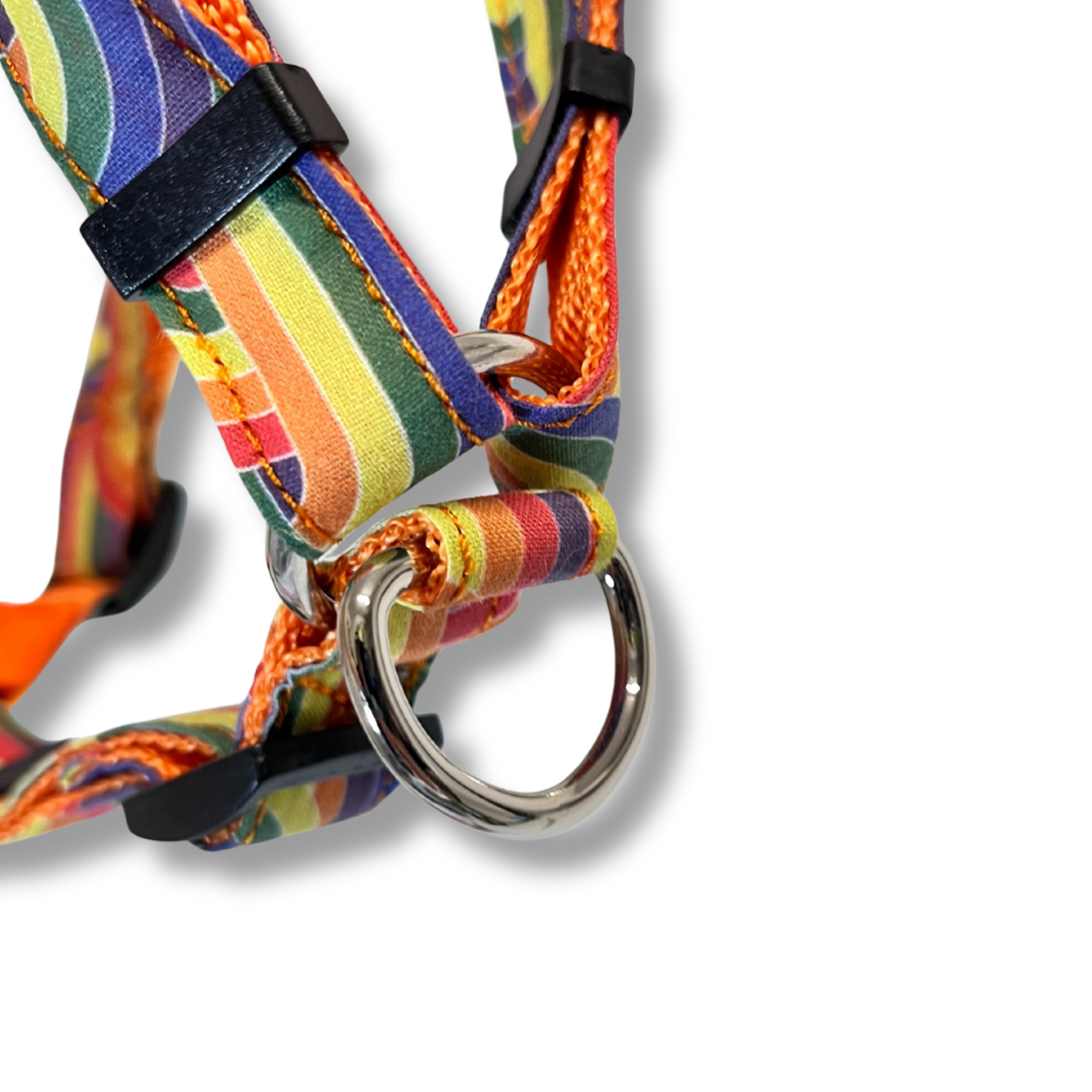 Geschirr - Looney Tunes