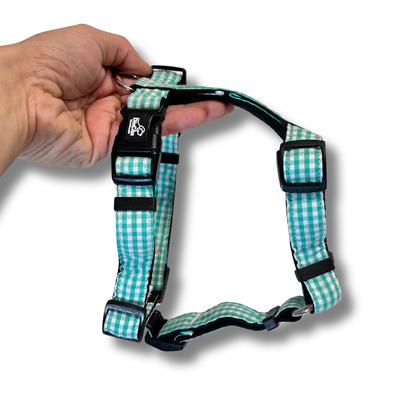 Geschirr - Looney Tunes